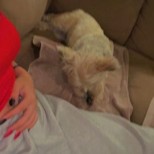 Meet your Posher, Catherine